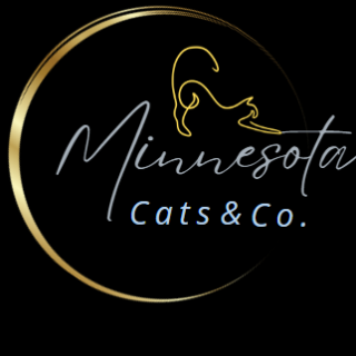 Rottweiler Puppies Minnesota - Vom Hause Noble Rottweilers